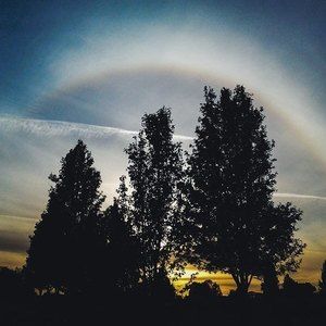 Meet your Posher, Heidi